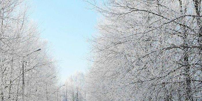 1080x1920 68+ Country Iphone Wallpapers on WallpaperPlay