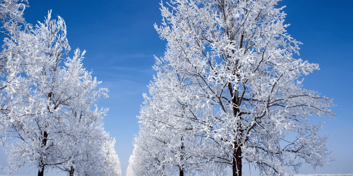 1600x1200 country lane winter snow wallpaper, persian gulf lost civilization