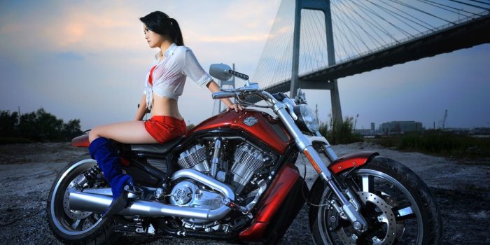 1440x960 Harley Davidson ❤ 4K HD Desktop Wallpaper for 4K Ultra HD TV