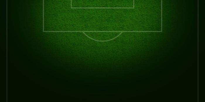 1024x768 Football Soccer Field Free PPT Backgrounds for your PowerPoint Templates