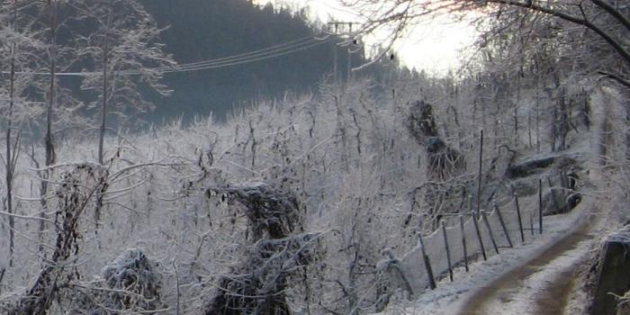 938x1668 Download wallpaper 938x1668 winter, hoarfrost, gray hair, road