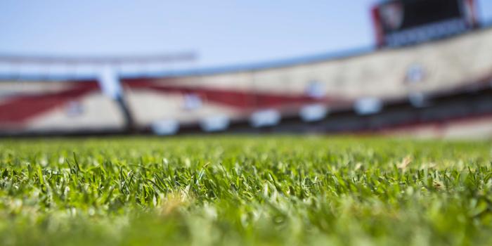 3840x2560 3027851 field, grass, green, morning, soccer, stadium 4k wallpaper