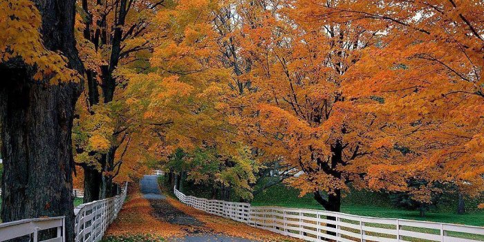 1024x768 Free Fall Computer Wallpaper Desktop Wallpaper - Fall Desktops