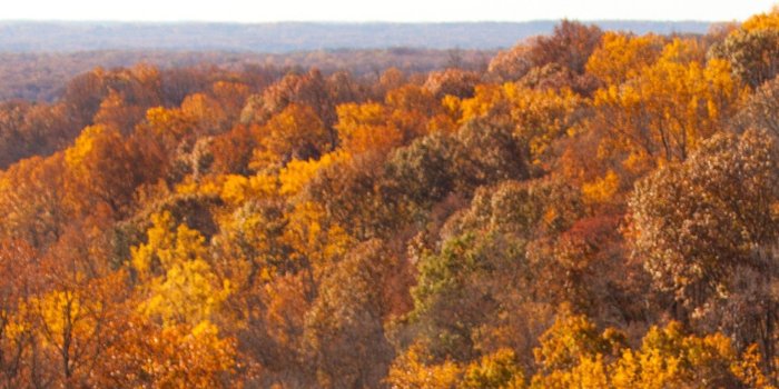 1918x768 Fall Desktop Wallpapers | POLYWOOD Blog