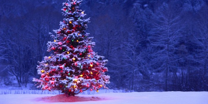1920x1080 77+ Christmas Desktop Wallpapers on WallpaperPlay