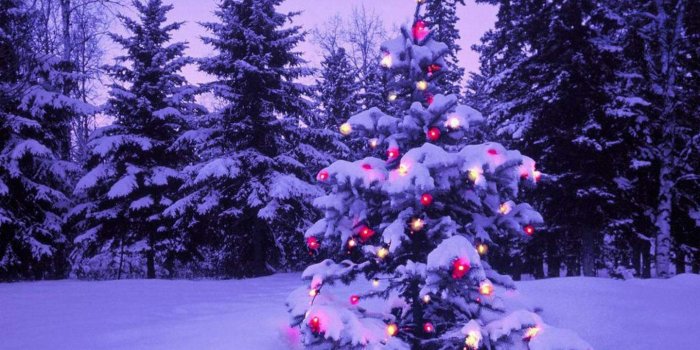 1440x900 Christmas PC Wallpapers - Top Free Christmas PC Backgrounds