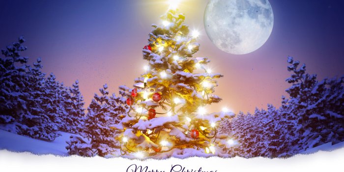 2880x1800 77+ Christmas Desktop Wallpapers on WallpaperPlay