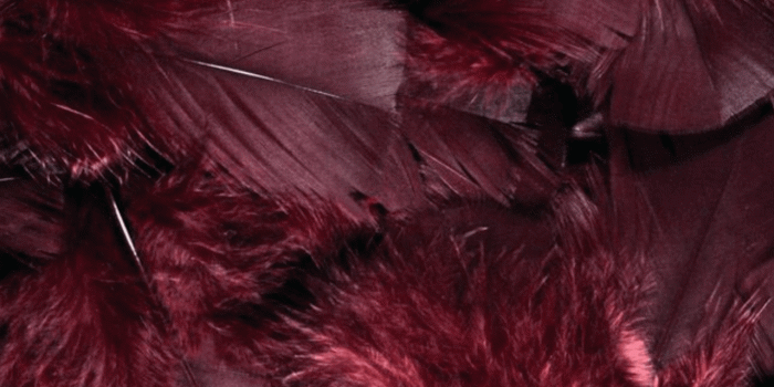 1280x1907 Lockscreens n Shit — Maroon Requested by @queenofwhispers Reblog/Like...