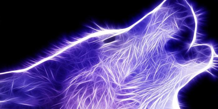 1920x1080 Neon Wolf Wallpapers