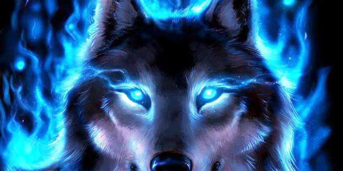 2160x1920 Neon Wolf Wallpapers - Top Free Neon Wolf Backgrounds - WallpaperAccess