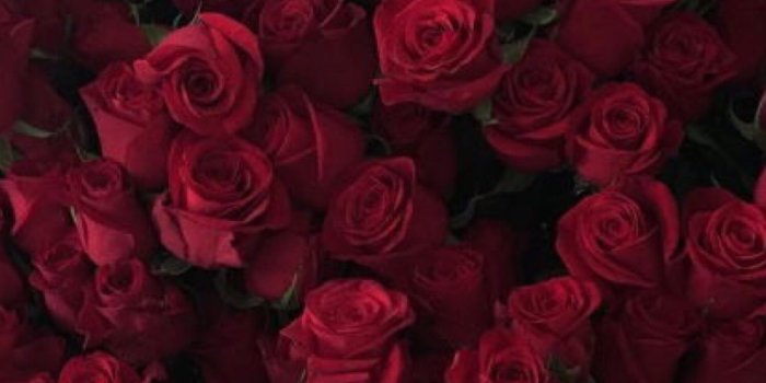 1500x2316 Mschuck on Red | Rose, Red aesthetic, Maroon aesthetic