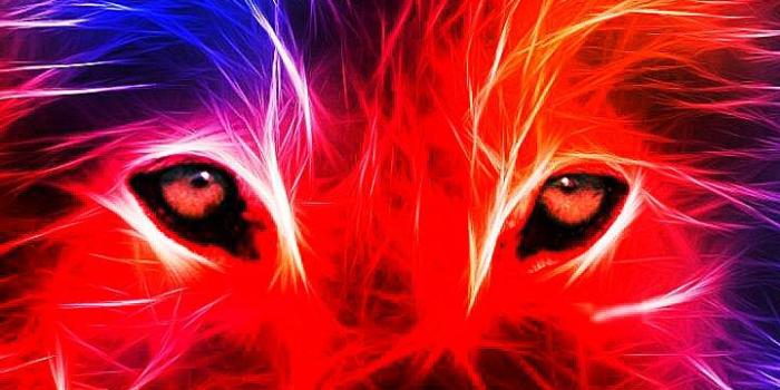 720x1280 Neon wolf Wallpaper by AKSHAJgallery - 6d - Free on ZEDGE™