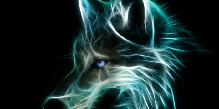 1200x960 Neon Wolf Wallpapers - Top Free Neon Wolf Backgrounds - WallpaperAccess