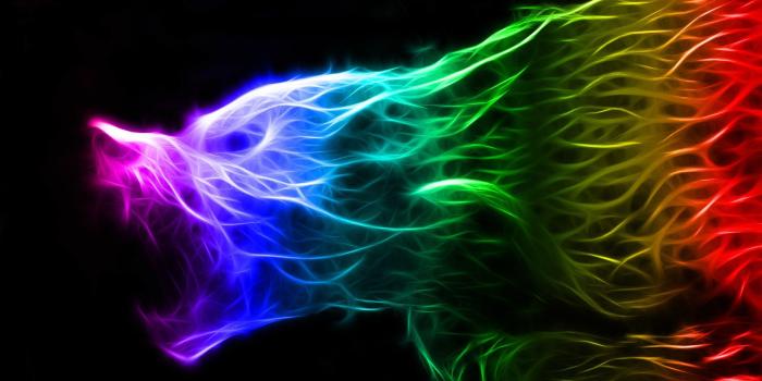 1920x1200 Neon Wolf Wallpapers