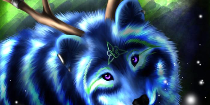 1920x1200 64+ Neon Wolf Wallpapers on WallpaperPlay