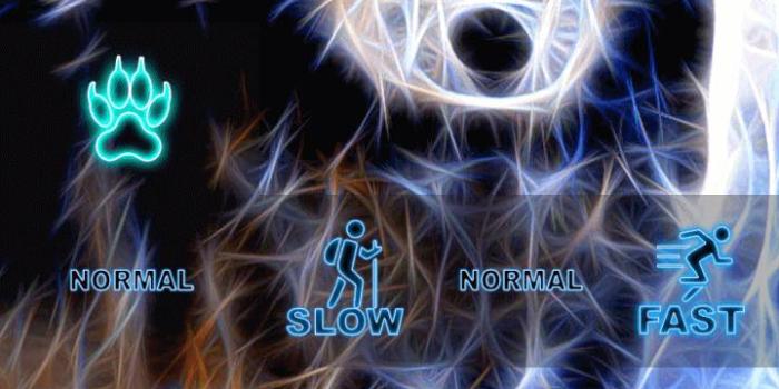 720x1280 Neon Wolf Live Wallpaper for Android - APK Download