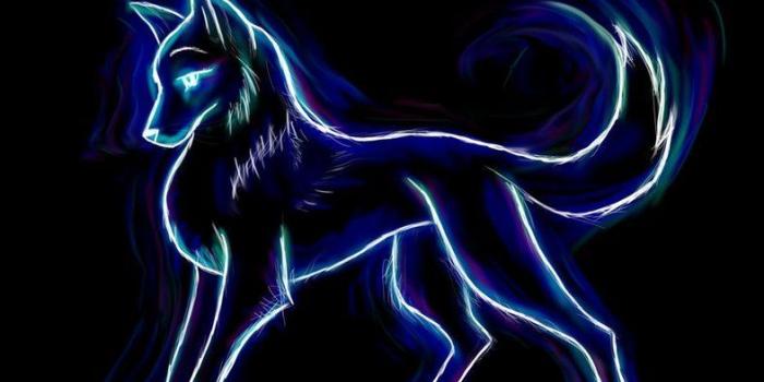 786x1017 Neon Wolf Wallpapers