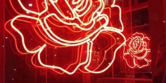 720x1280 neon wallpaper | Tumblr