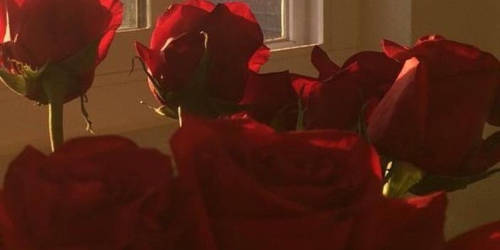 1920x3415 43570851 True love in LA