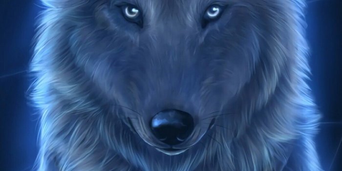 1080x1920 Katerina PetrovaDe la Fuente on quotes and stuff | Wolf