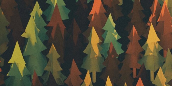 1080x1980 Iphone Wallpaper - Phone Wallpaper Fall Free Wallpaper & Backgrounds