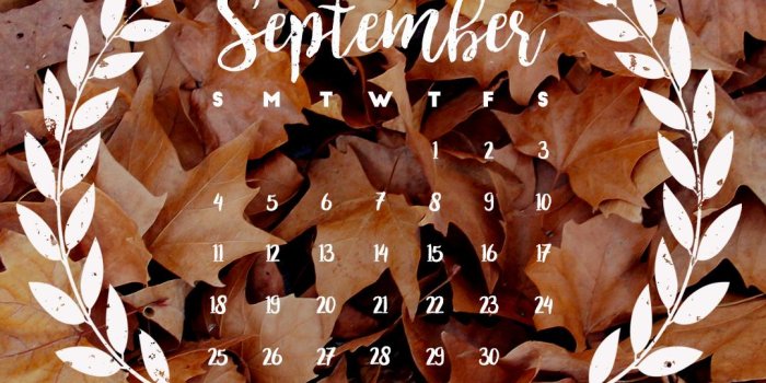 1080x1920 Download Fall Phone Wallpaper (35+) - Free Wallpaper For your screen.