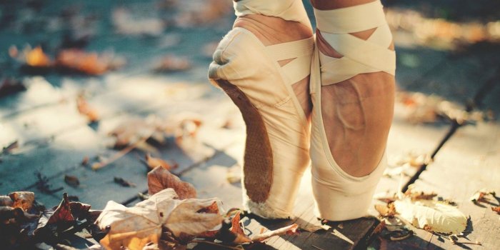 1332x850 Wallpaper autumn, leaves, the sun, feet, deck, ballerina, Pointe