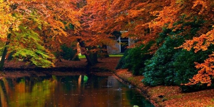 768x1024 Autumn - Autumn Phone Wallpaper Hd, Hd Wallpapers & backgrounds