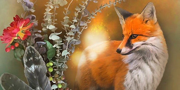 794x1410 Fox Fall Magic Background, iPhone wallpaper, Cell phone background, iPhone  lock screen, Cell phone wallpaper, Phone background