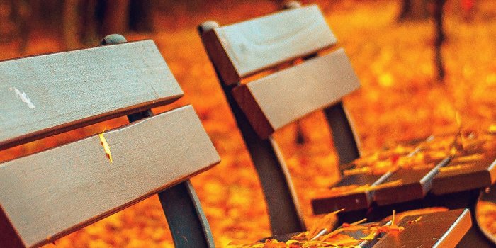 1242x2208 Colorful Fall wallpapers of the week