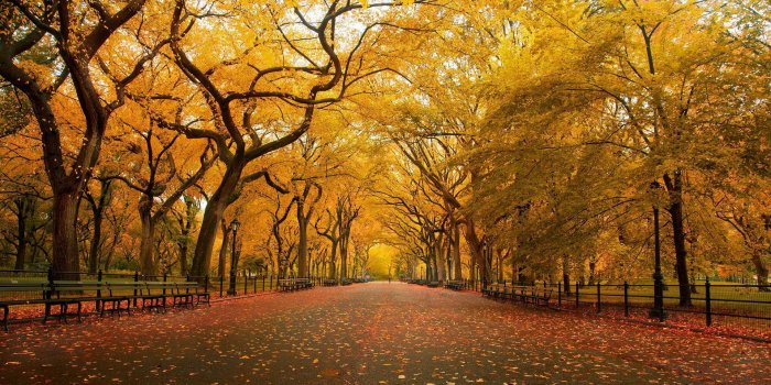 1920x1080 fall phone wallpaper HD 1920x1080