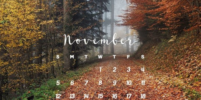 1080x1920 69+ Autumn Screen Wallpapers on WallpaperPlay