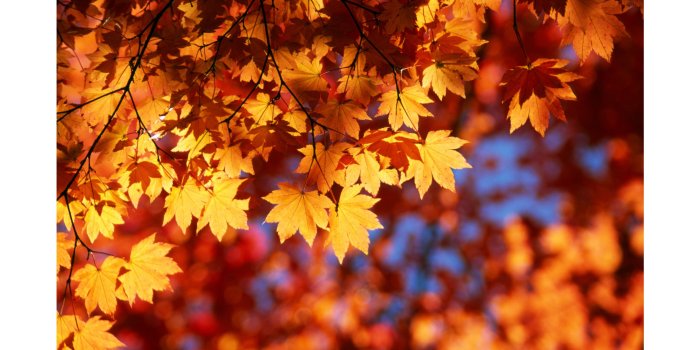 3840x2160 3D Fall Wallpaper (61+ images)