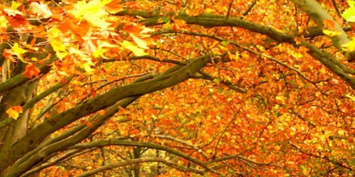 1080x1920 New iPhone Wallpaper | iPhone Wallpaper