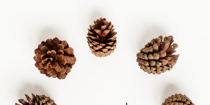 1080x1920 FREE Fall Wallpapers for Your Phone & Computer | Cheers Babe Blog