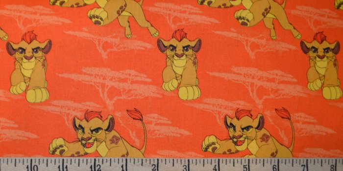 2000x1380 The Lion Guard. Kion in Orange