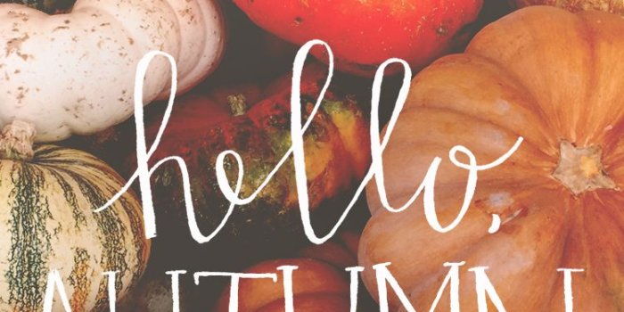 750x1334 Hello fall wallpaper Gallery