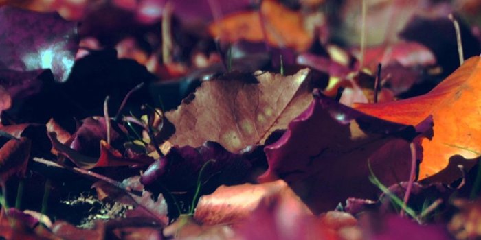 1125x2436 Miles Morales | Smart Phone Wallpapers - DIY Craft