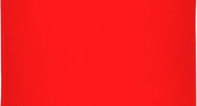 650x1491 Watermelon Red | Color Inspiration | Solid color backgrounds, Paint