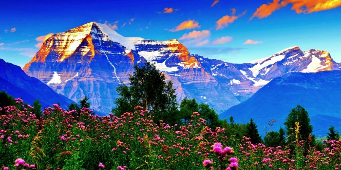 1920x1200 Spring Meadow wallpaper | 1920x1200 | #68918