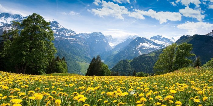 2560x1440 Mountains, Landscape, Nature, Mountain, Spring, Meadow, Flowers