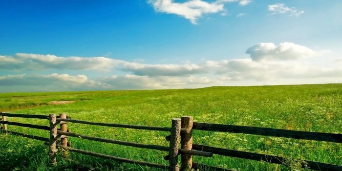 1600x900 Spring Meadow Wallpapers