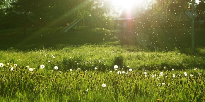 2880x1800 Spring Meadow Wallpapers - Top Free Spring Meadow Backgrounds