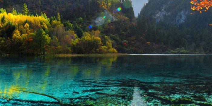 1080x1920 Debjit Karmakar on Wallpaper in 2019 | Hd wallpaper iphone