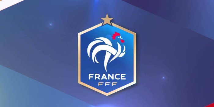 1920x1080 France Soccer Logo Wallpapers