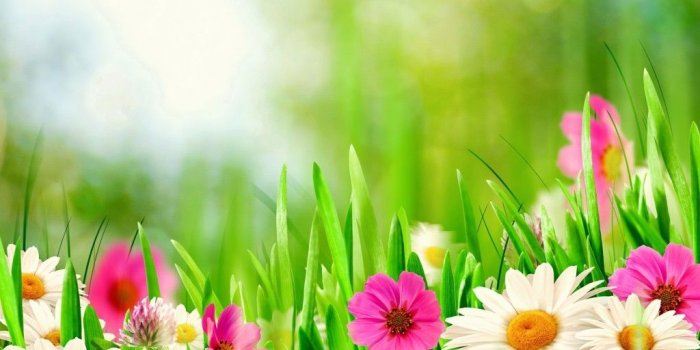 1024x910 Spring Meadow HD - HD Samsung Galaxy S5 Wallpapers free download