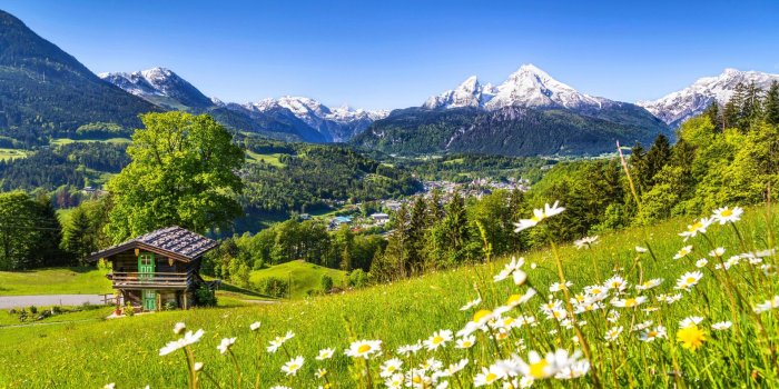 1920x1200 Nature Spring Meadow With Green Grass, Camomile Flowers On Mountain