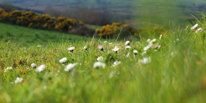 2560x1600 Spring Meadow Wallpapers (63+ background pictures)