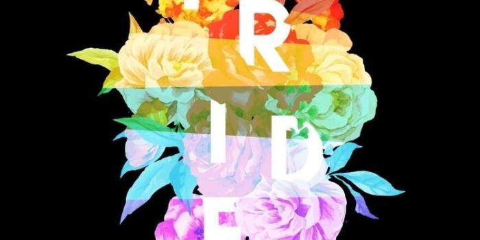 750x1334 Image result for lgbtq wallpaper | ..NOISE.. | Locked wallpaper