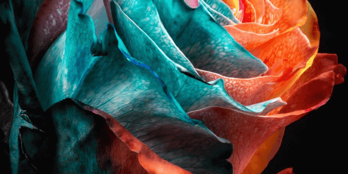 1080x1920 Universal Wallpaper Android app - (HD, Full HD, 4K, Ultra HD Wallpapers)